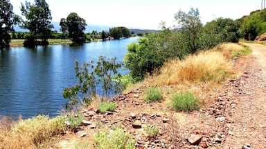 Cycling along the Breeriver