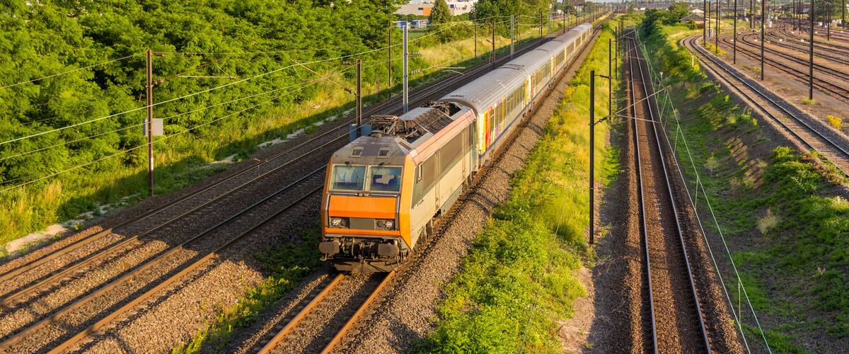 A train on railway tracks surrounded by greenery and utility poles.