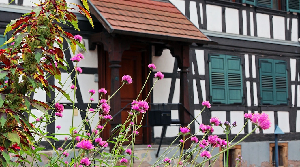 traditional alsacian house with flowers