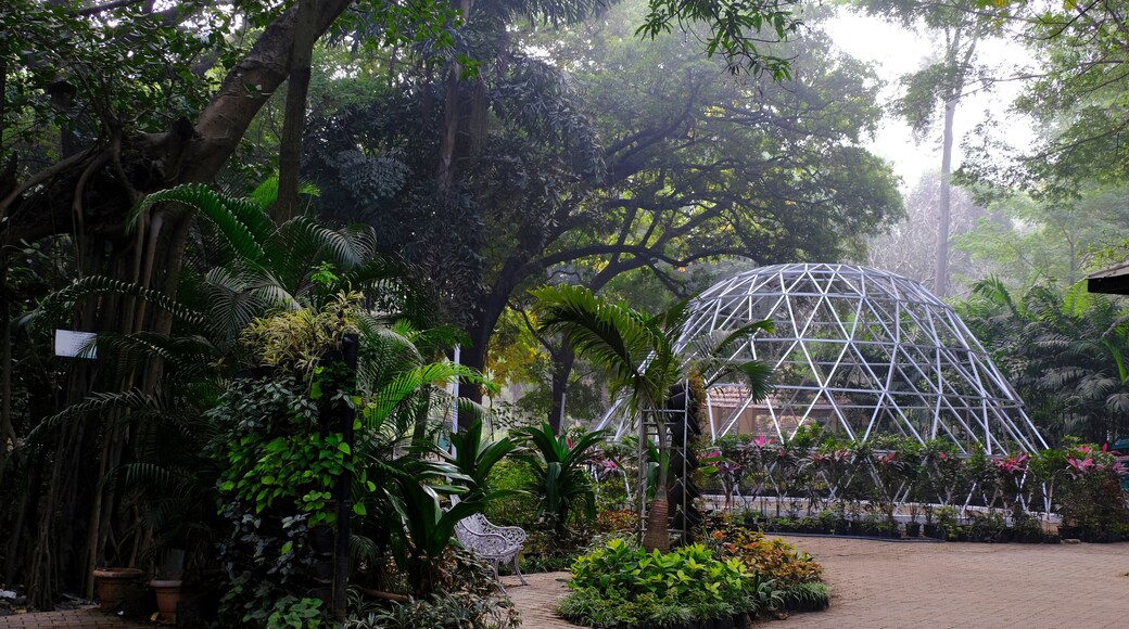 04 December 2022, Pune, India, Empress Botanical Garden, a green paradise in the heart of Pune, There are many rare exotic and indigenous trees are grown and preserved in the garden.