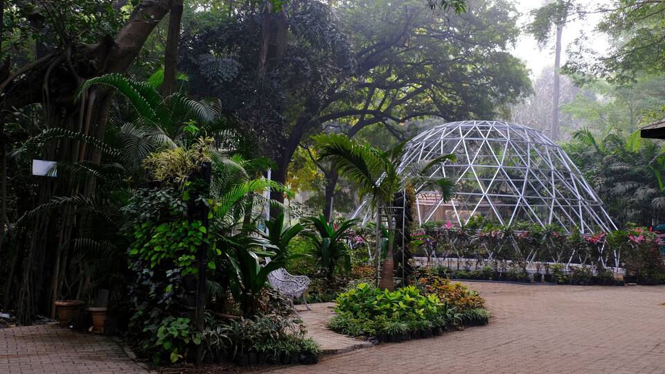 04 December 2022, Pune, India, Empress Botanical Garden, a green paradise in the heart of Pune, There are many rare exotic and indigenous trees are grown and preserved in the garden.