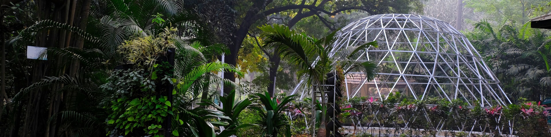 04 December 2022, Pune, India, Empress Botanical Garden, a green paradise in the heart of Pune, There are many rare exotic and indigenous trees are grown and preserved in the garden.