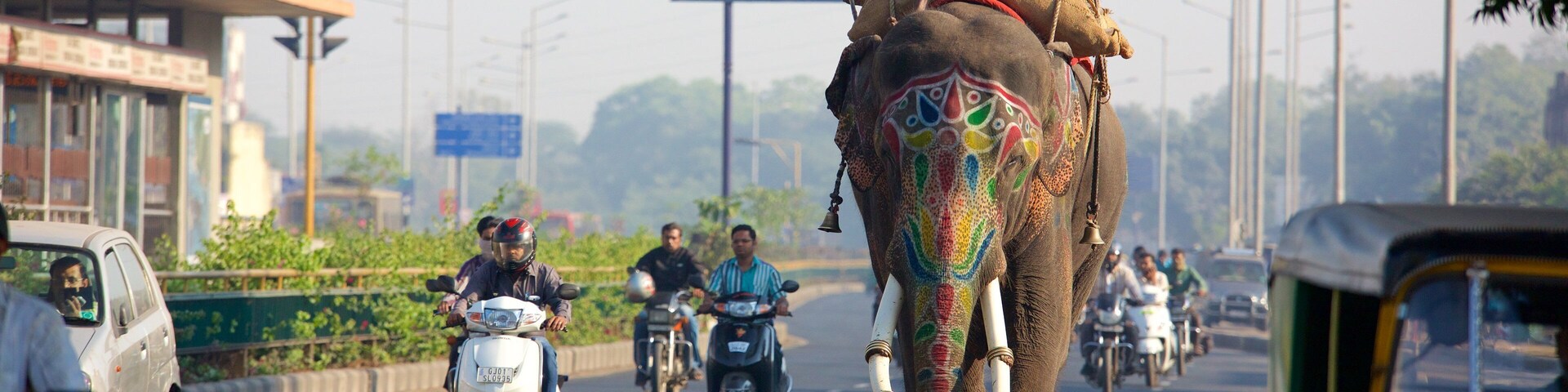 Ahmedabad which includes motorbike riding and land animals