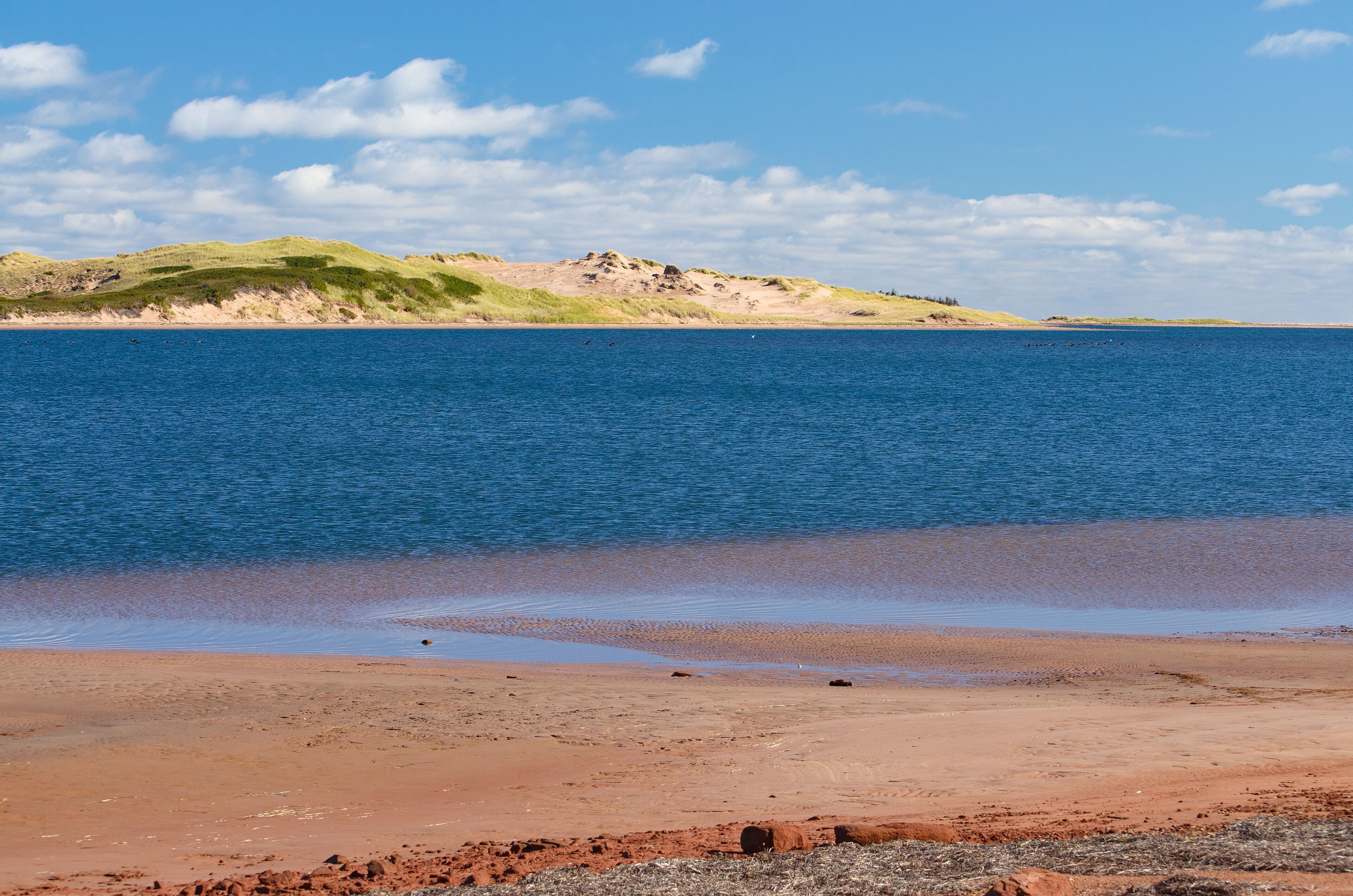 Sand dunes, Grand Tracadie, PEI