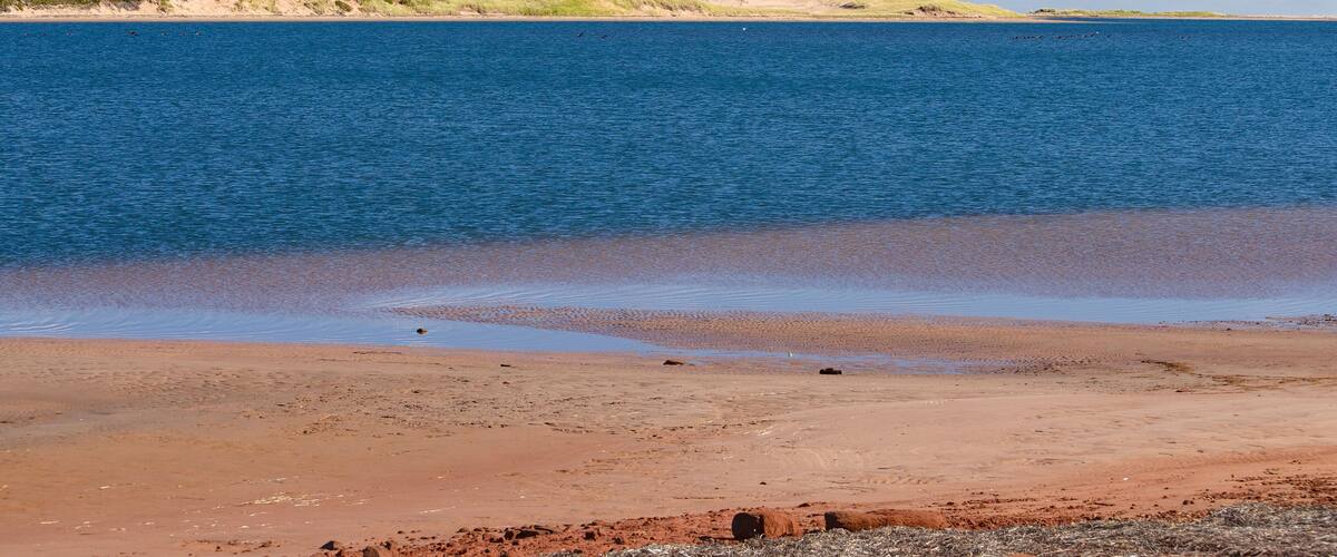 Sand dunes, Grand Tracadie, PEI