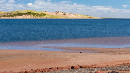 Sand dunes, Grand Tracadie, PEI