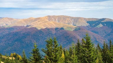 Bucegi Gebirge - Hiking Trail Nr. 33