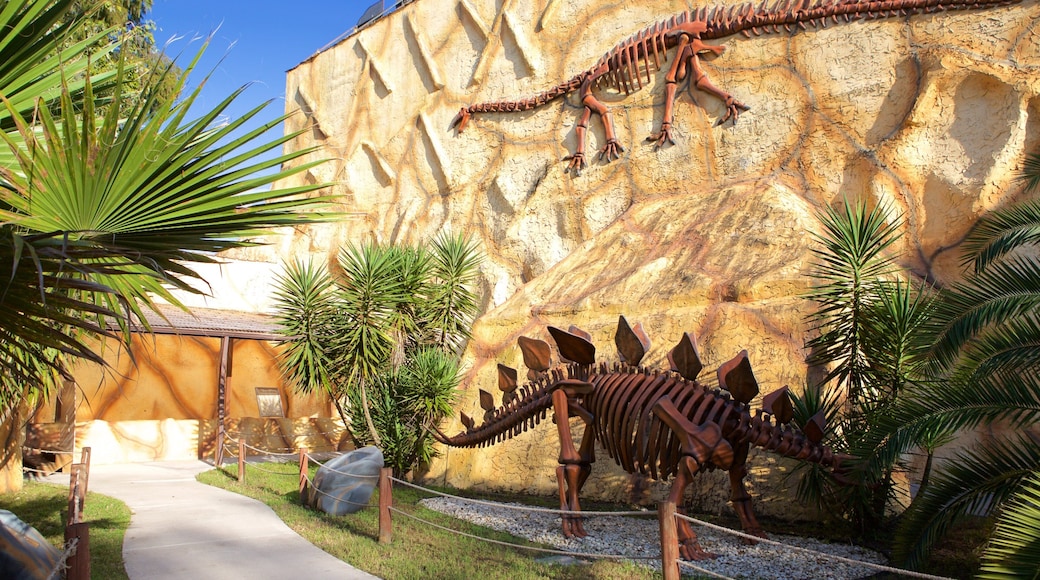 Dinosaur World Museum