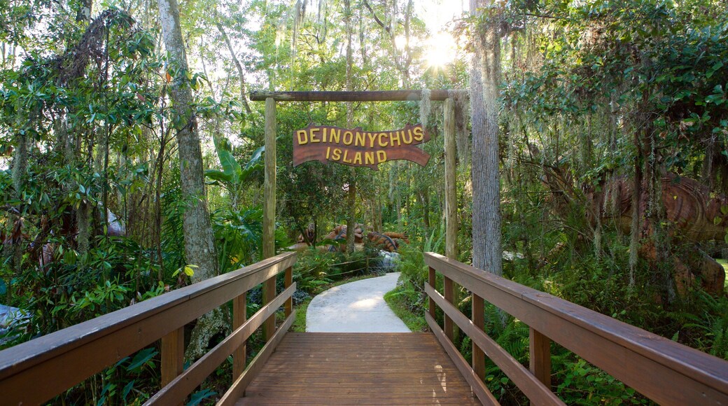 Dinosaur World Museum