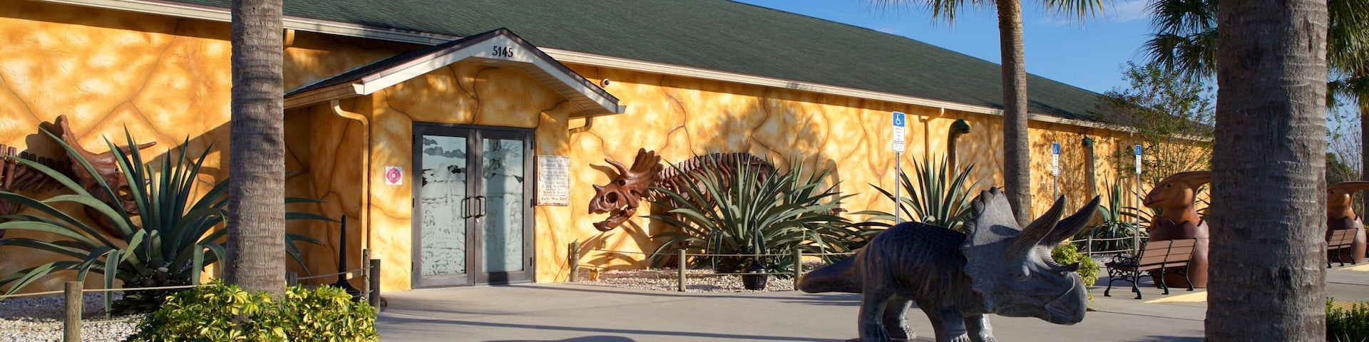 Dinosaur World Museum