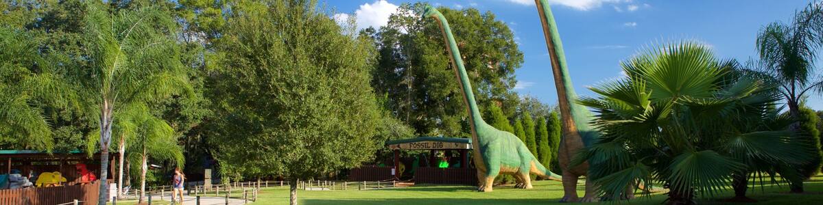 Dinosaur World Museum