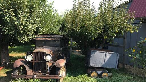 Old cars to decorate the orchard #lifeatexpedia