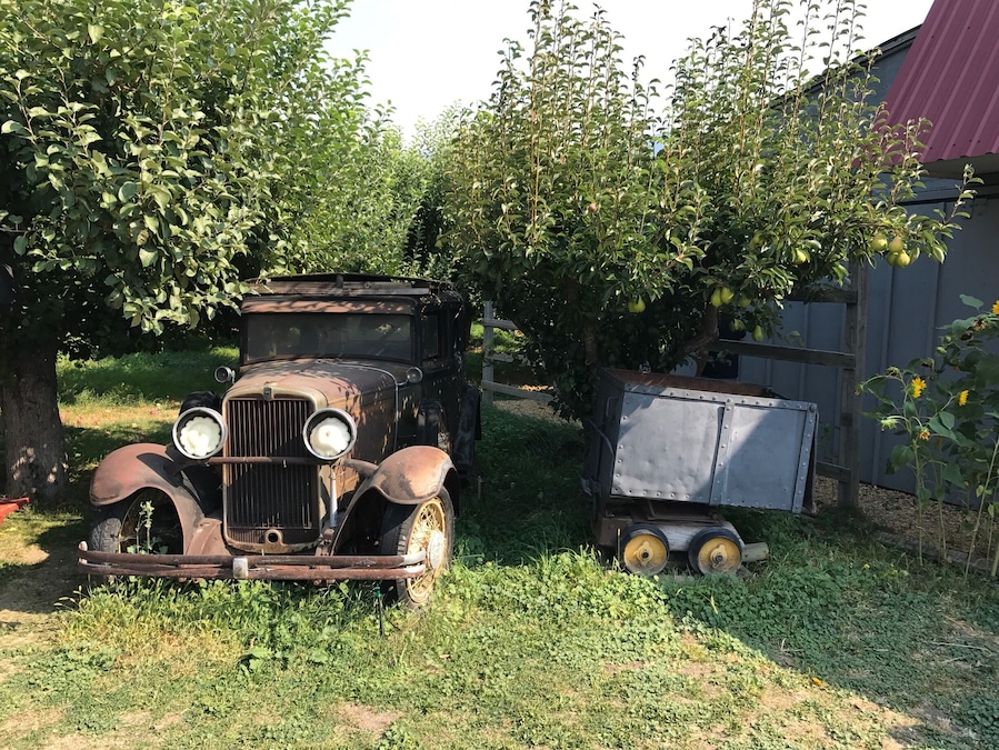 Old cars to decorate the orchard #lifeatexpedia