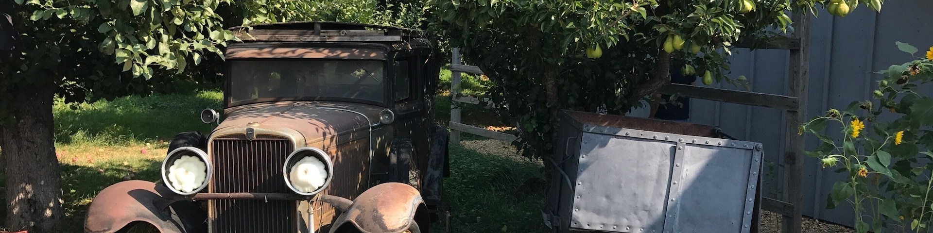 Old cars to decorate the orchard #lifeatexpedia