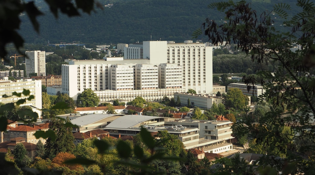 Centre Hospitalier Universitaire - Hôpital de Grenoble
