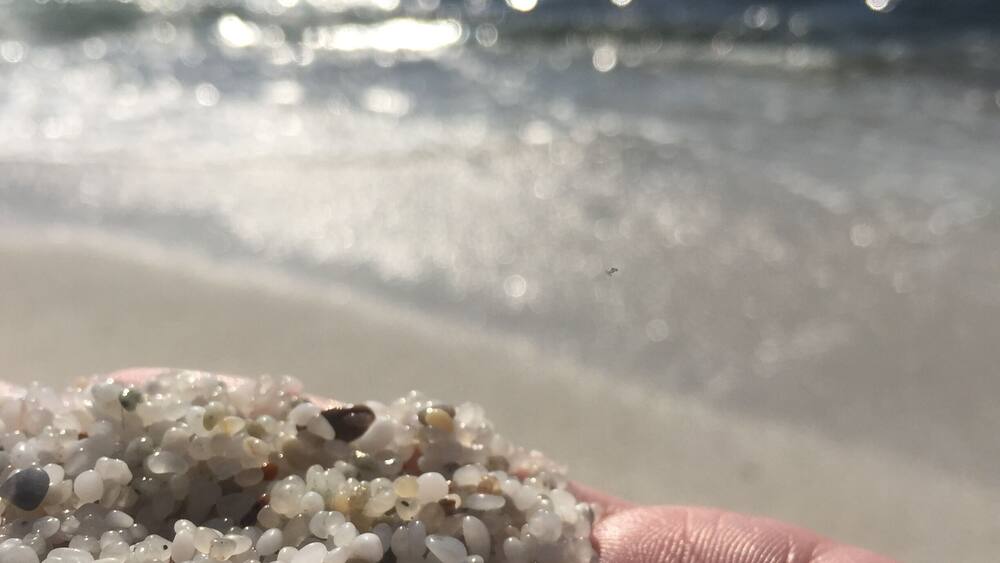 A hand holding a collection of small, white, and beige pebbles by a beach with the ocean in the background.