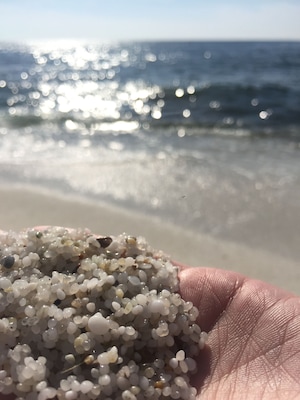 Mão segurando uma coleção de pequenos pedregulhos brancos e bege, à beira-mar, com o oceano ao fundo.