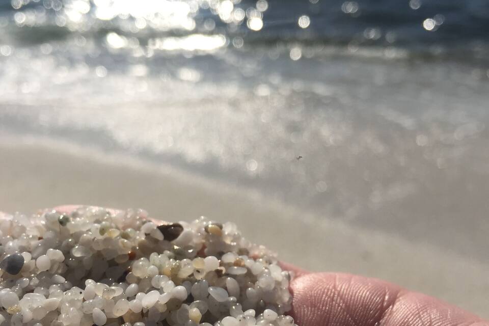A hand holding a collection of small, white, and beige pebbles by a beach with the ocean in the background.