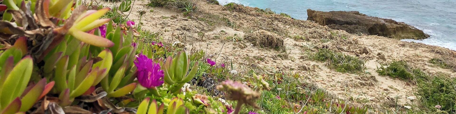 View from the parking area towards Torre di San Giovanni