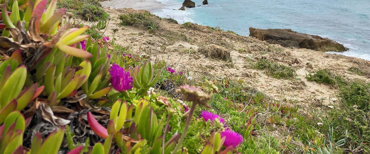 A coastal landscape with a hilltop castle, sandy beach, and rocky shoreline.