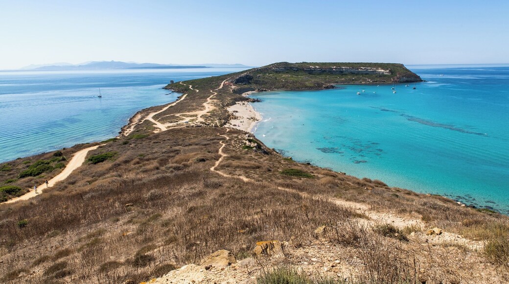 The Sinis Peninsula Marine Protected Area offers an intense experience with nature and culture. Its territory extends from Su Siccu, the end of the protected area in the Gulf of Oristano, to the Lake of Cabras, the Promontory of Capo San Marco and San Giovanni of Sinis.
The area is also enriched by the beauty of two uncontaminated islands: the granitic Island of Mal di Ventre and the basaltic Catalano rocky islet.
Sinis is arguably one of the most fascinating and significant region in the Province of Oristano.
There are many surprises for our eyes: the basalt cliffs, the white beaches of glittering quartz, the many colours of the rocks that have been shaped by water and wind, the inland lagoons enlivened by pink flamingos, make this journey a unique setting.
#NationalPark #blue #BeachTips