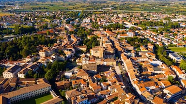Une vue aérienne d’une ville historique, avec une église imposante, des quartiers résidentiels densément peuplés et des champs verdoyants environnants.