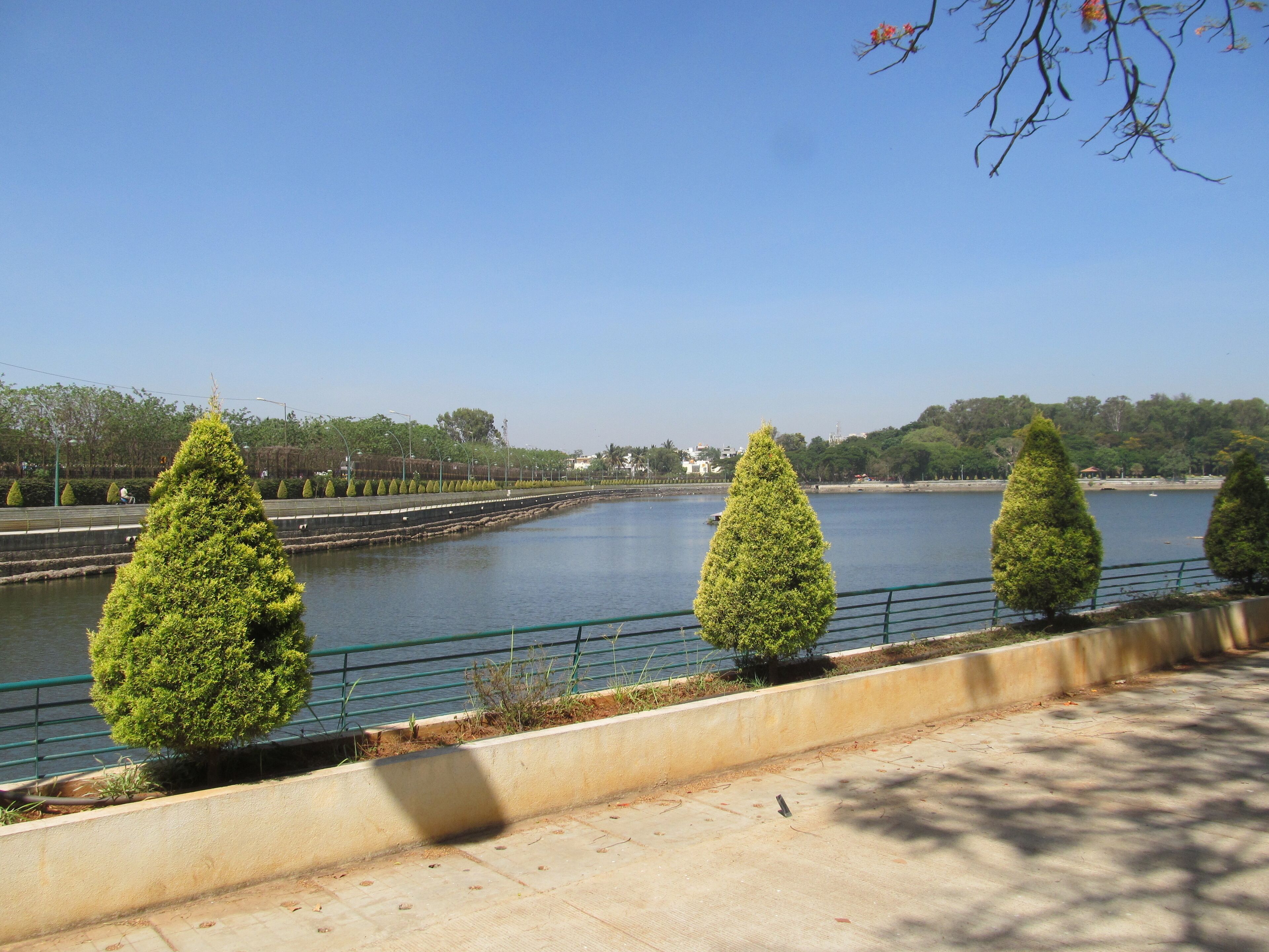 Nature's Retreat: Sankey Tank, Bengaluru