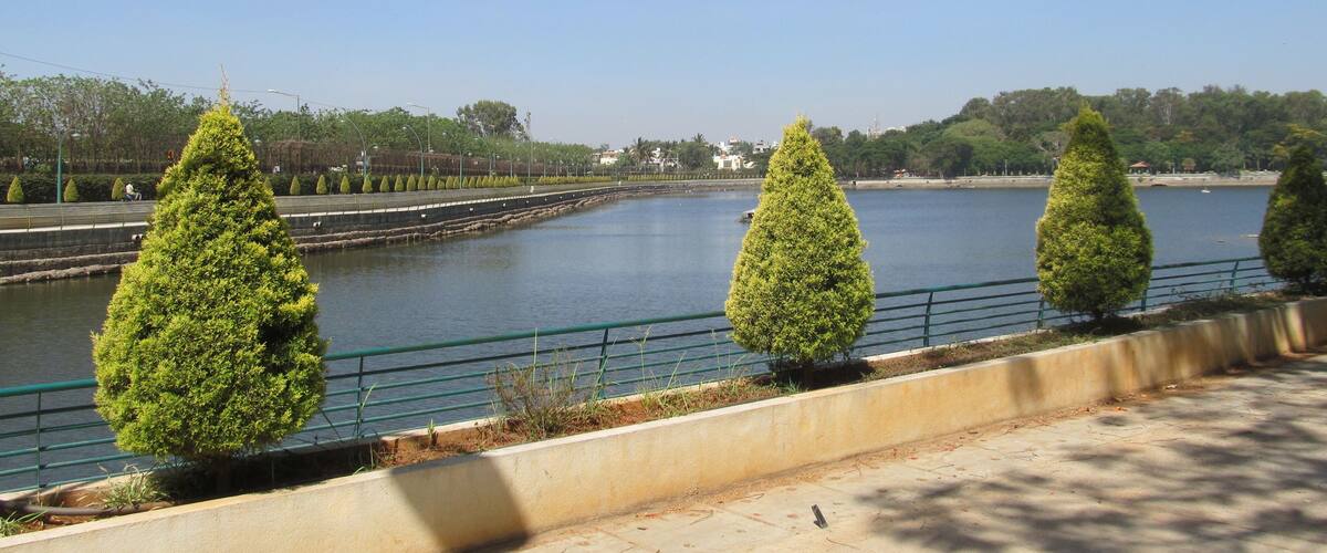Nature's Retreat: Sankey Tank, Bengaluru