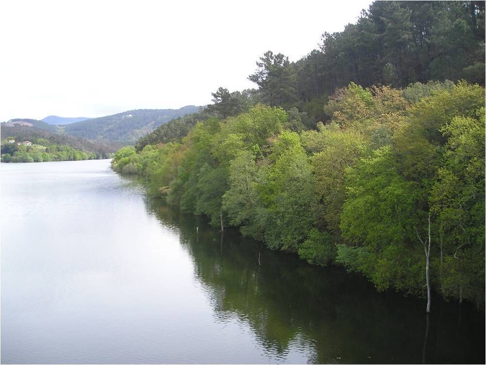 A calm river surrounded by dense green forest and hills in the background.