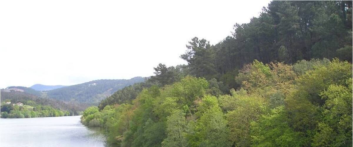A calm river surrounded by dense green forest and hills in the background.