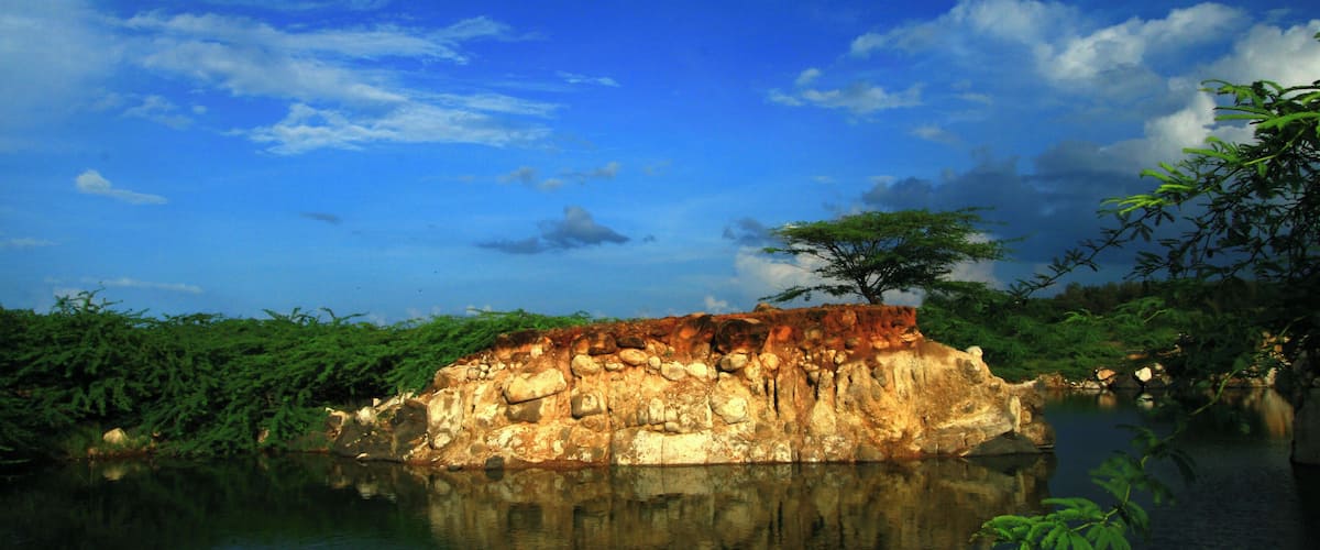 A rocky outcrop surrounded by water and greenery.