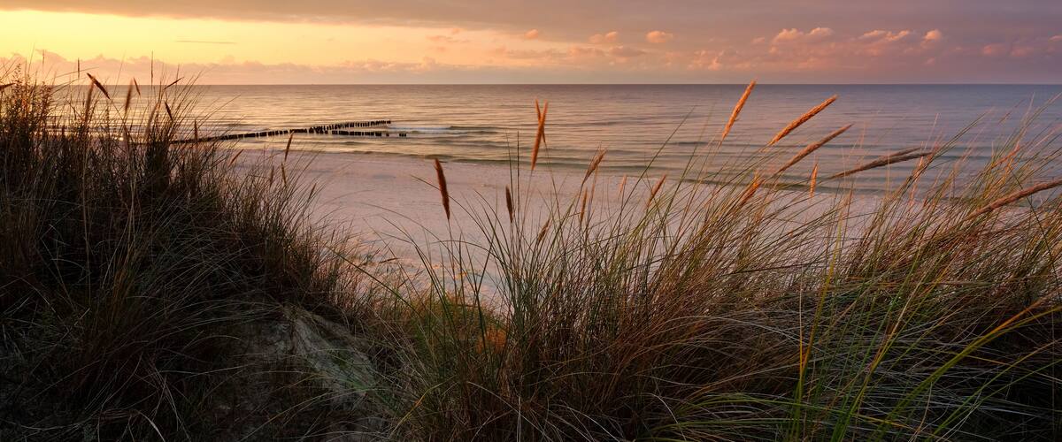 A beach with tall grasses and a wooden pier extending into calm waters during sunset.