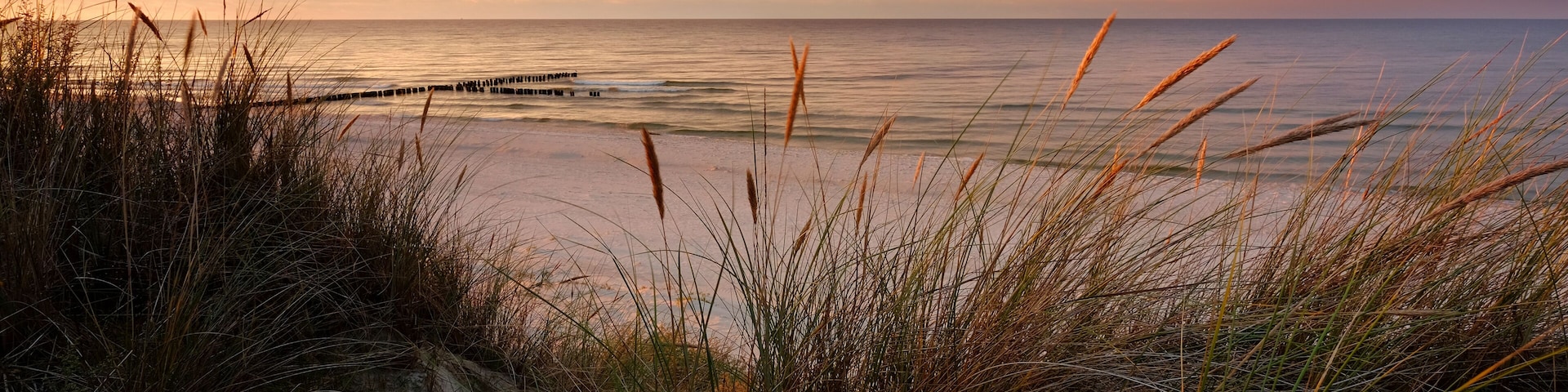 A beach with tall grasses and a wooden pier extending into calm waters during sunset.