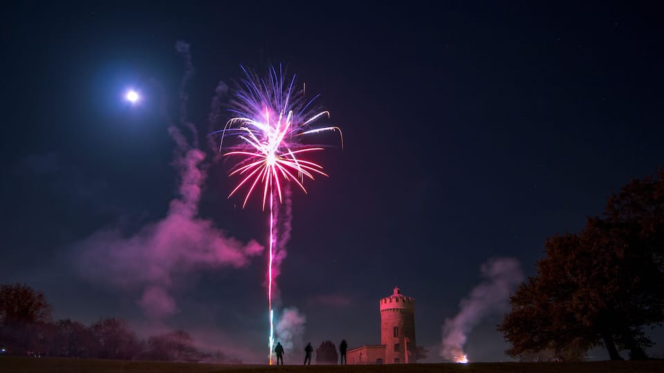A night sky with fireworks, a tower, and trees.