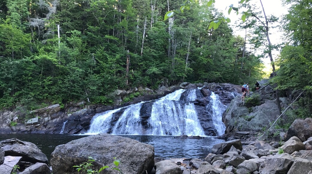 Beautiful local swimming hole. But ppl also fish here so use caution.