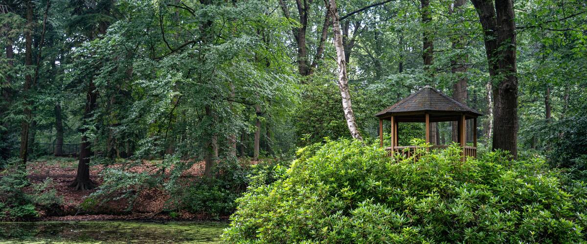 a wooden house in a park on a bridge above the water in a green landscape