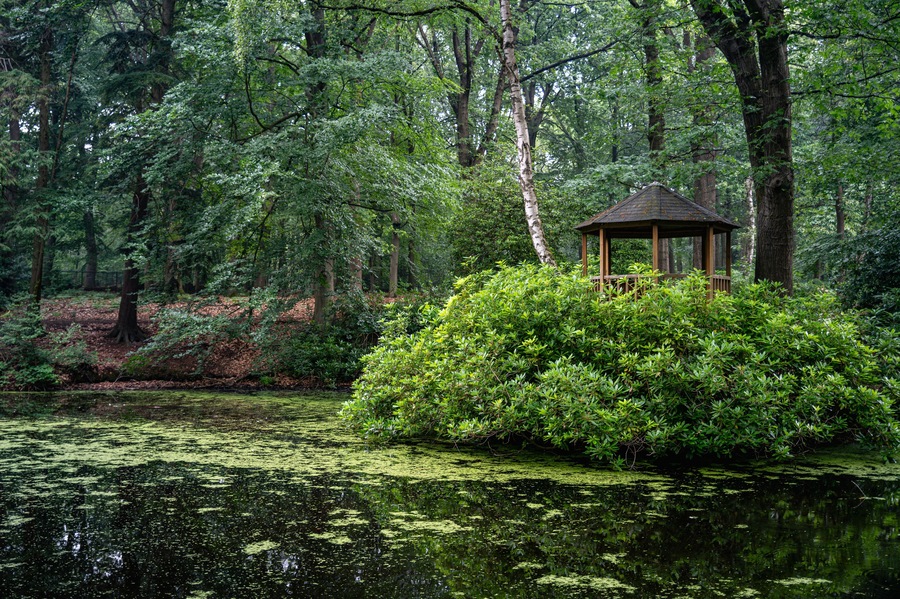 a wooden house in a park on a bridge above the water in a green landscape