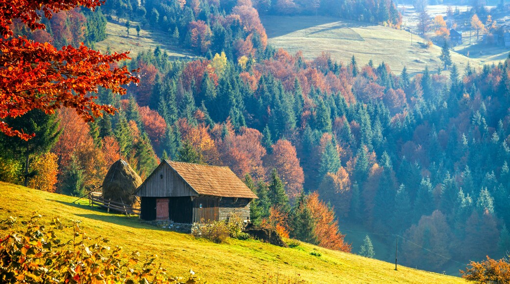 A rural landscape with a wooden barn on a hillside, surrounded by autumn-colored trees and rolling fields.
