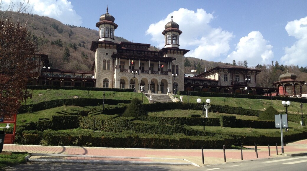 Awesome place‼️🔝