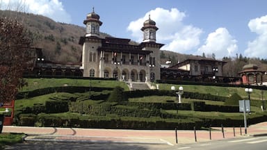 Awesome place‼️🔝