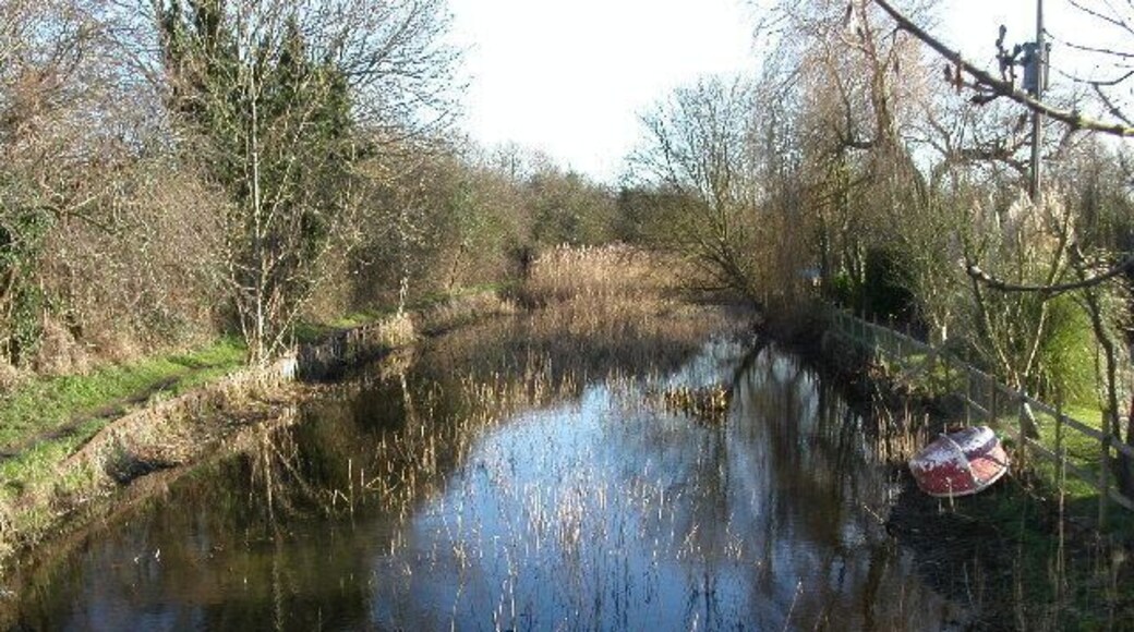 Stroudwater canal south from Saul bridge. The disused Stroudwater canal from Saul bridge. This section runs south to Saul junction just under a kilometre away.