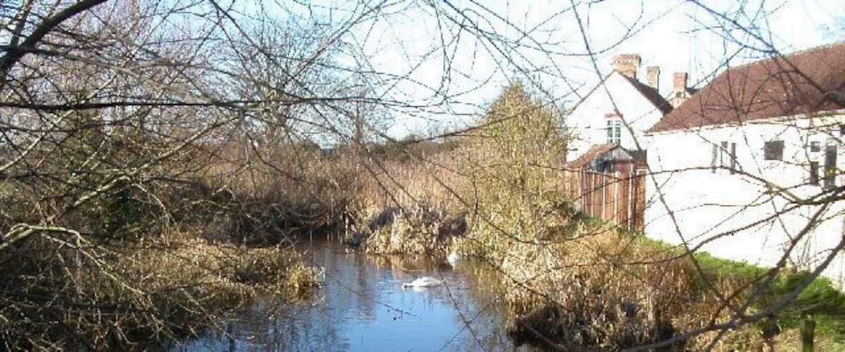 A narrow waterway with overhanging branches, a small bridge, and a white building in the background.