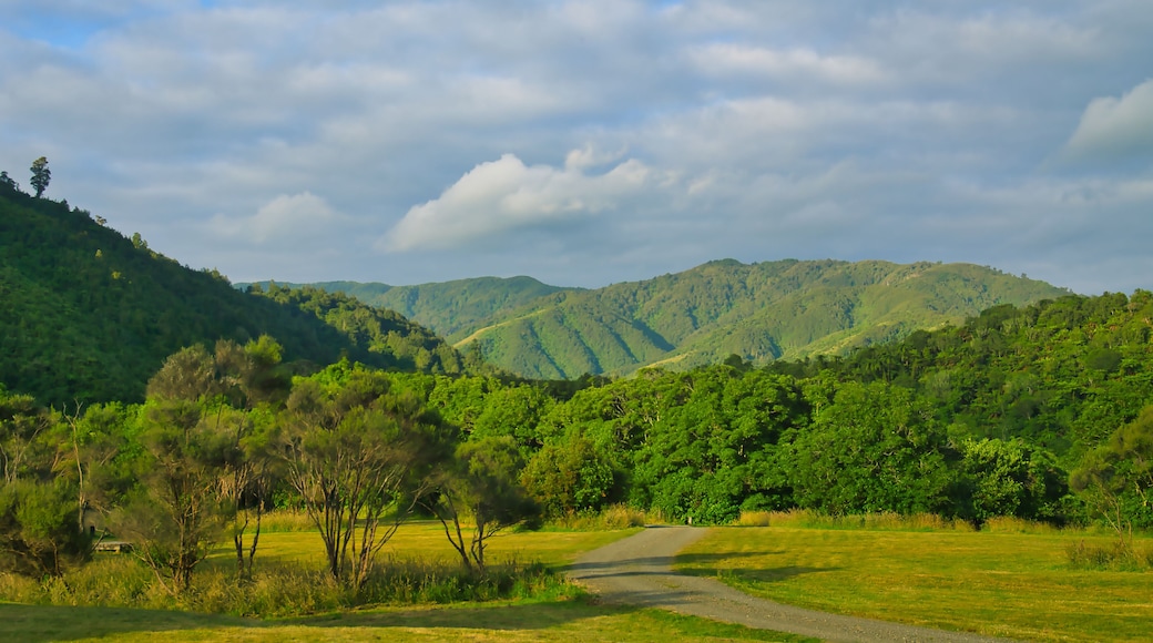 Kapiti Coast