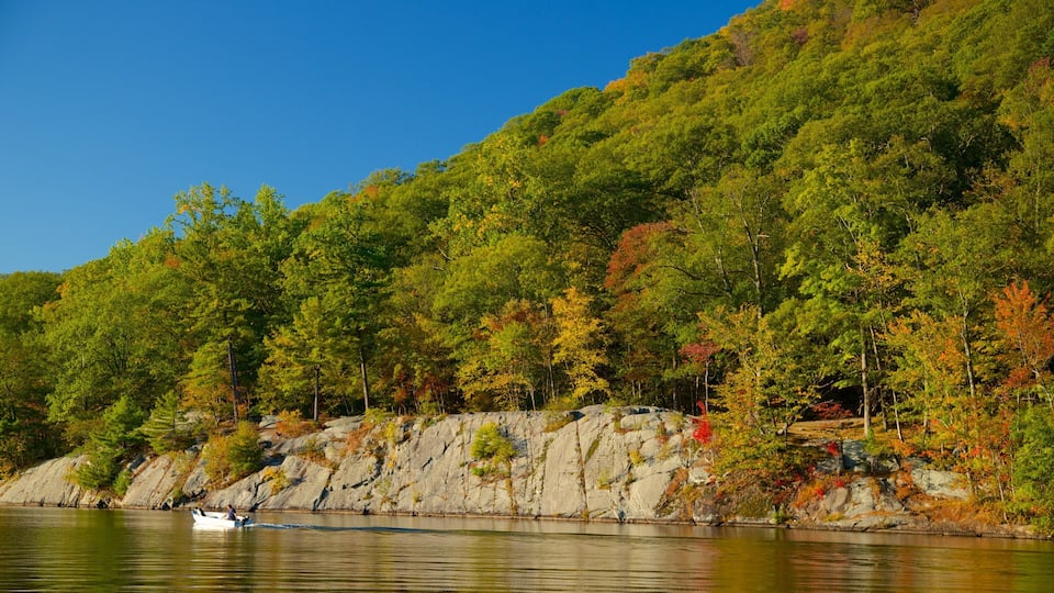 A calm lake with a rocky shoreline, surrounded by dense forest with autumn foliage.