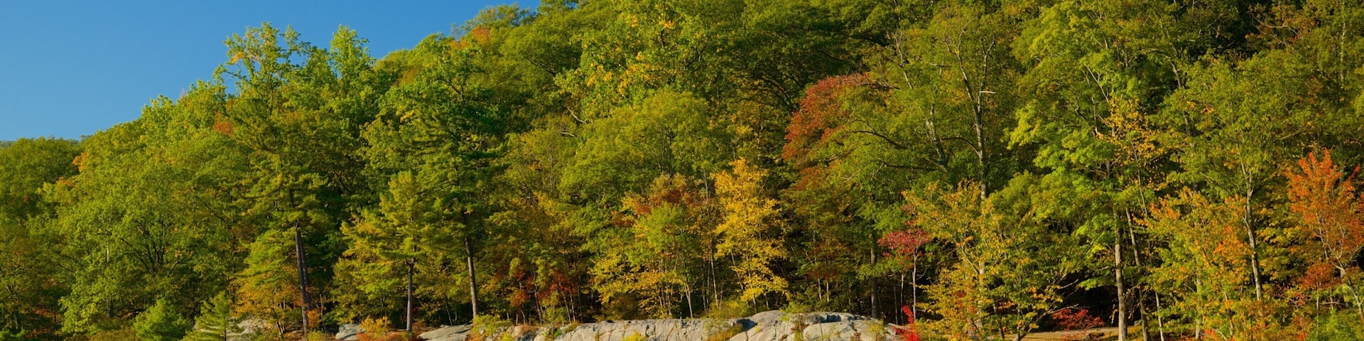Bear Mountain State Park featuring a river or creek and tranquil scenes