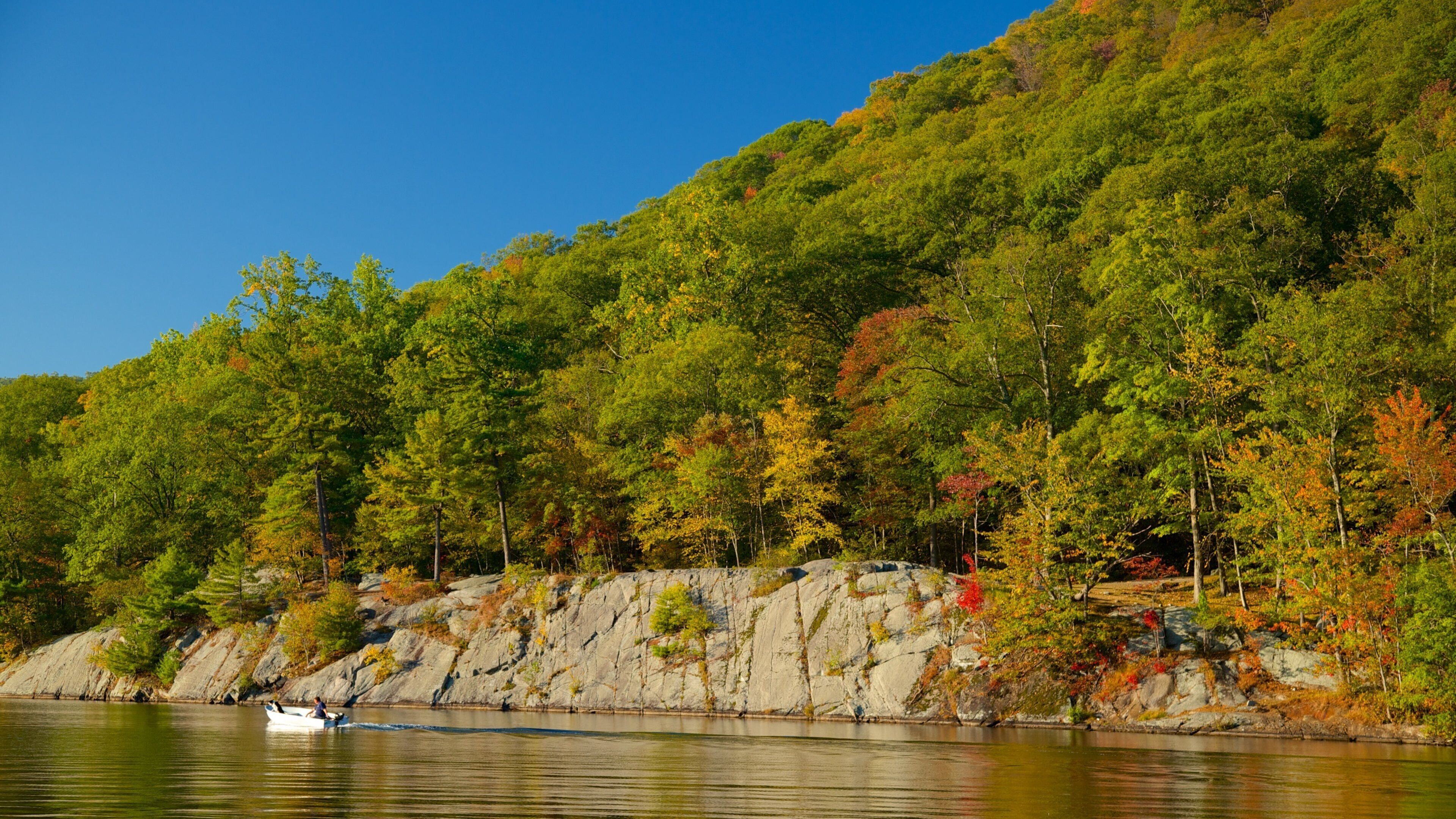 A calm lake with a rocky shoreline, surrounded by dense forest with autumn foliage.