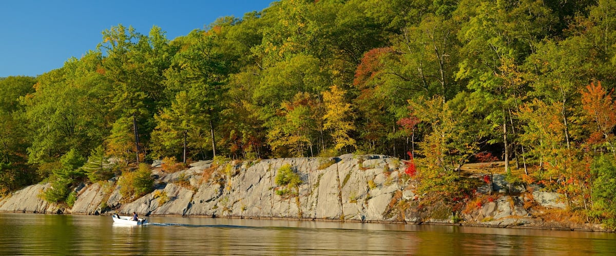 A calm lake with a rocky shoreline, surrounded by dense forest with autumn foliage.