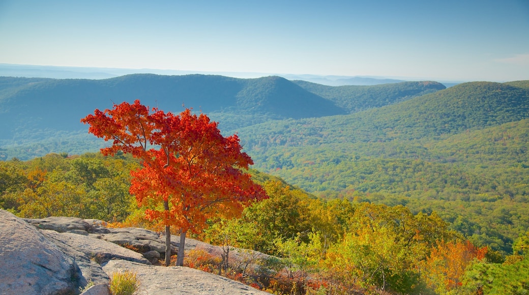 Parc d\'état de Bear Mountain qui includes scÚnes tranquilles et couleurs d\'automne