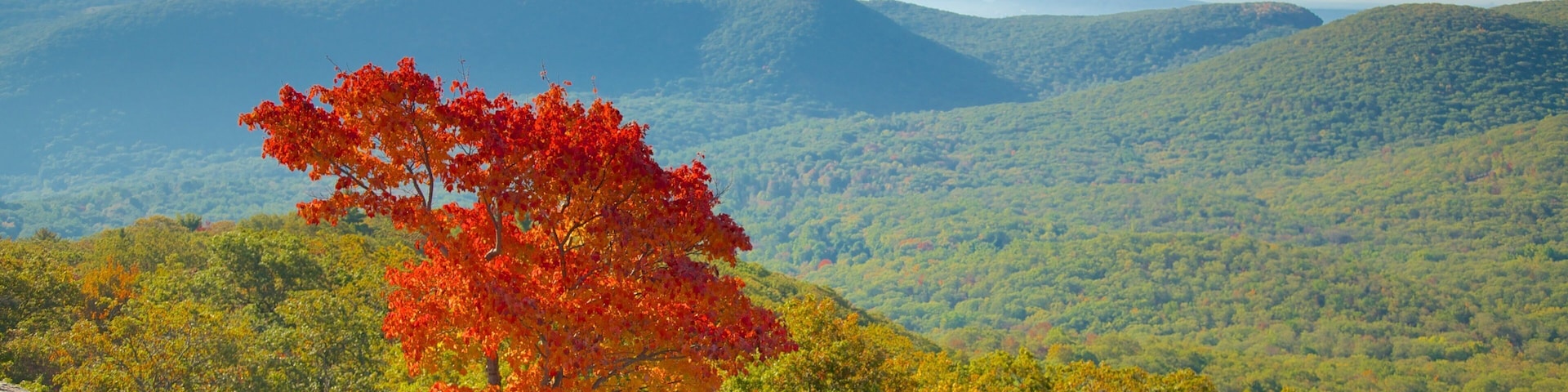 Bear Mountain State Park which includes tranquil scenes and autumn leaves