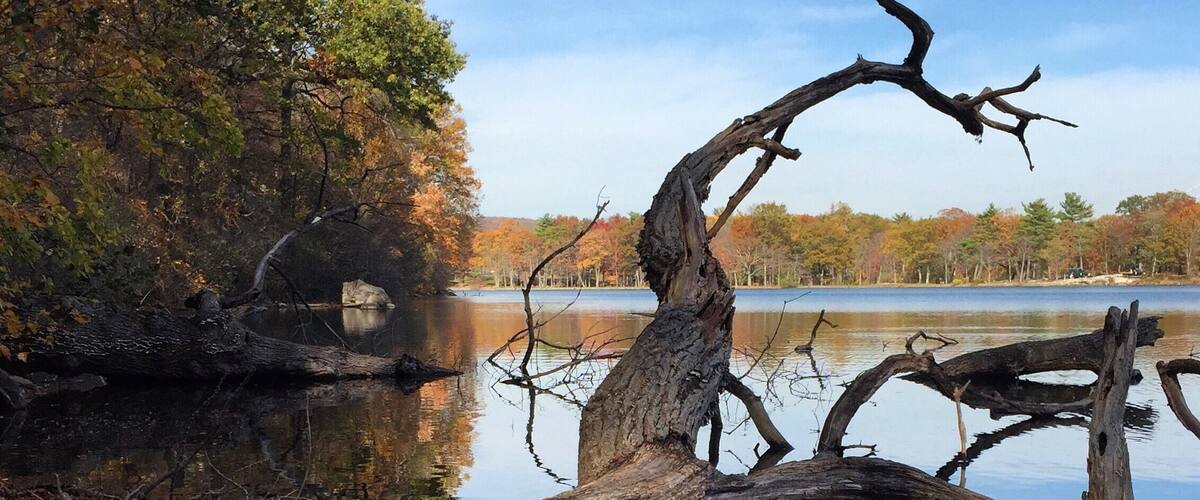 The lake by the picnic area